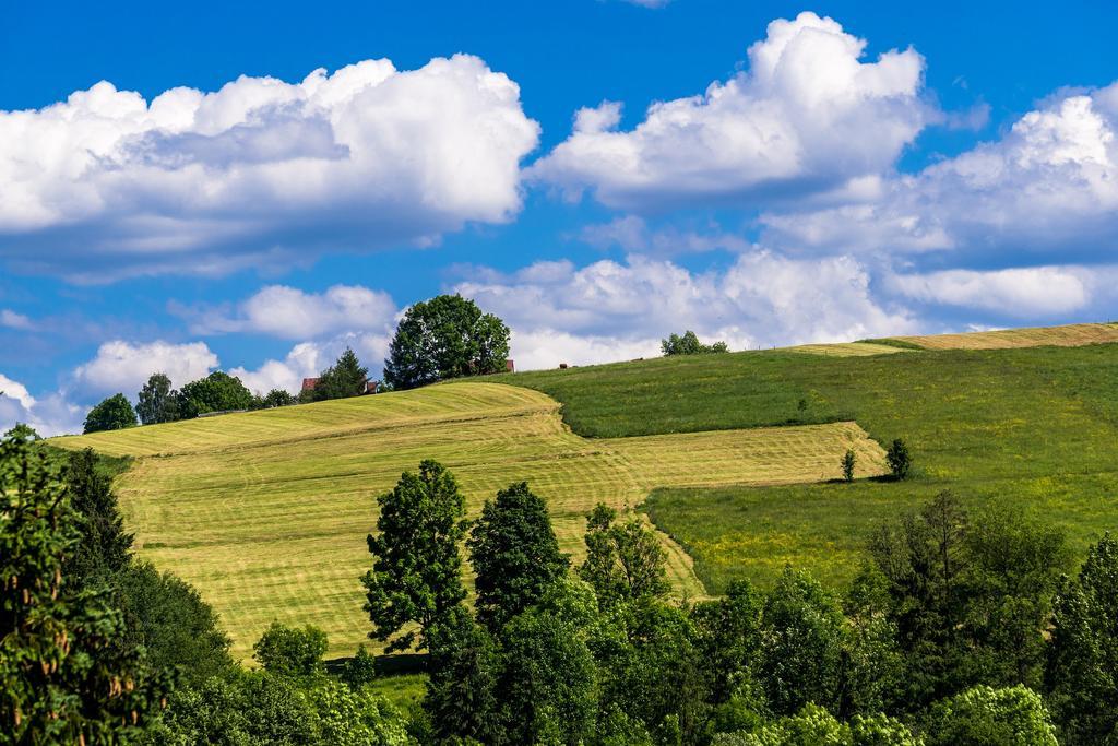 Chata Na Brzysku Pod Bialka Leśnica Extérieur photo