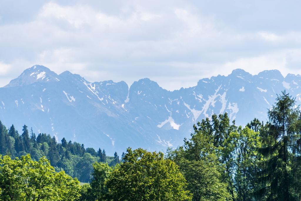 Chata Na Brzysku Pod Bialka Leśnica Extérieur photo
